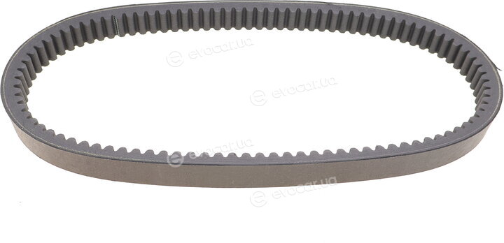 Dayco HP2021