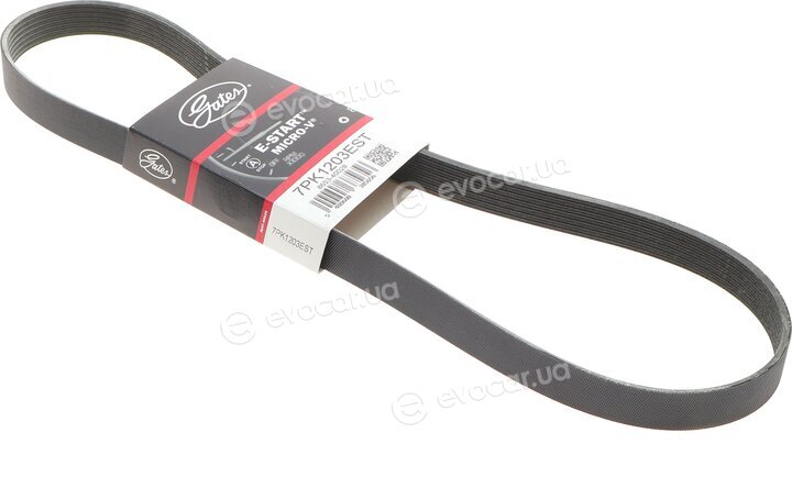 Gates 7PK1203EST