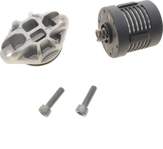 BorgWarner DS120356