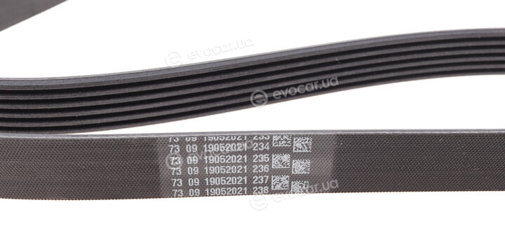 Continental 6PK1453