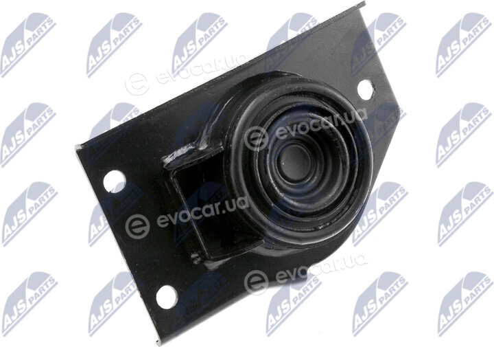 NTY ZPS-KA-316