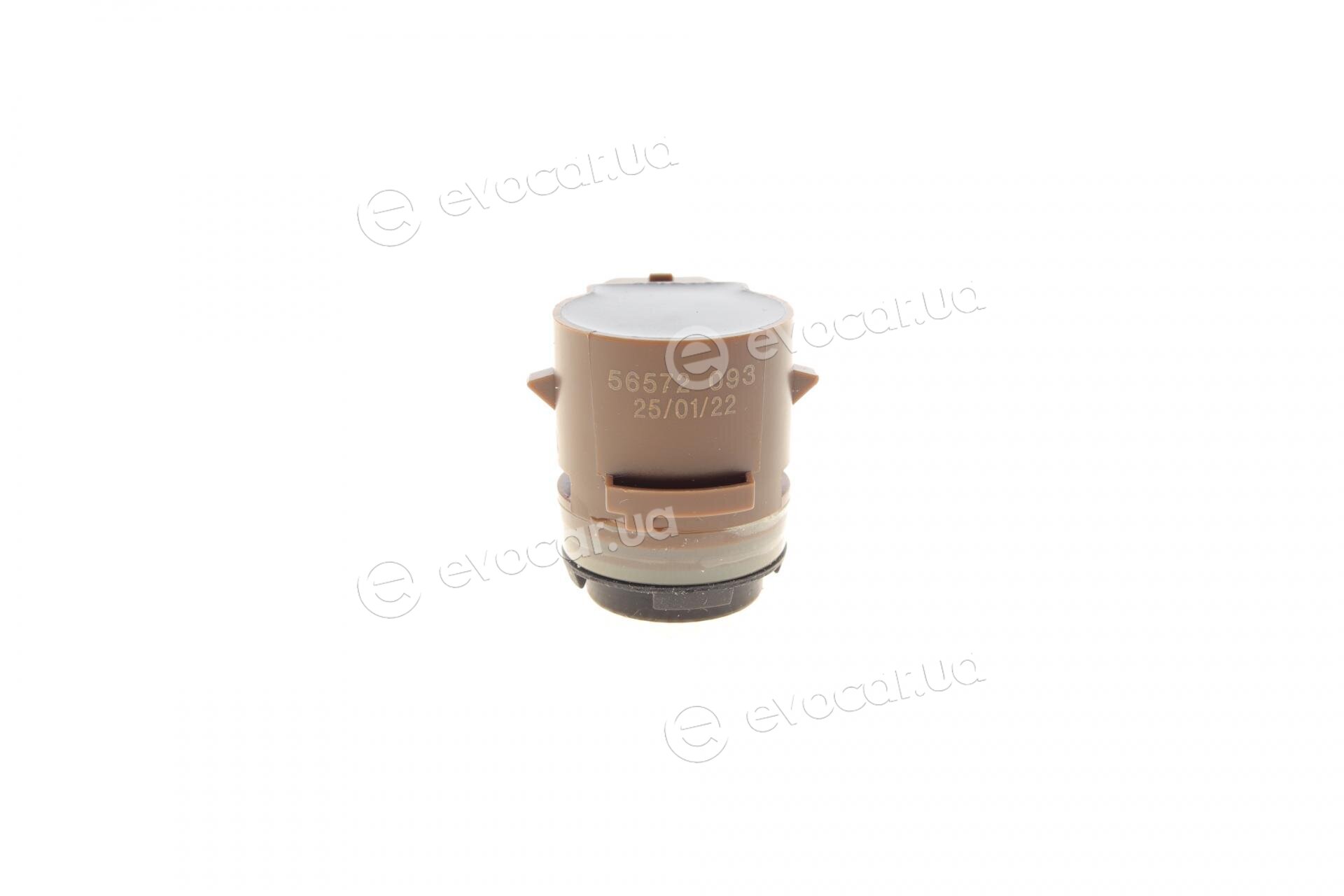 AIC 56572