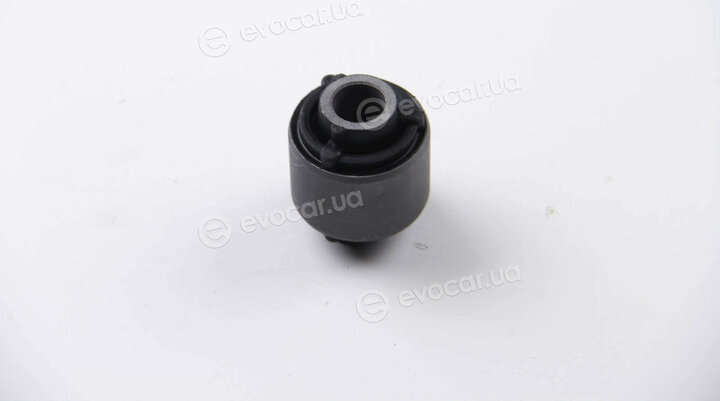 BC Guma 0250