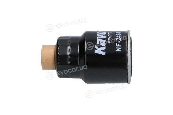 AMC NF-2461