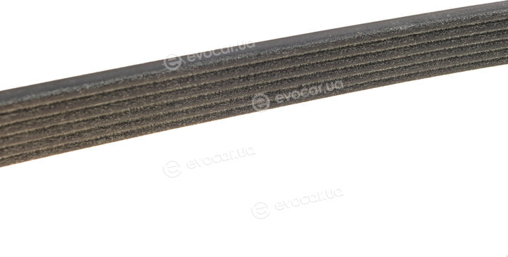 Dayco 6PK2155S