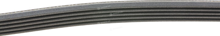 Continental 5PK1230