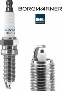 BorgWarner Z362