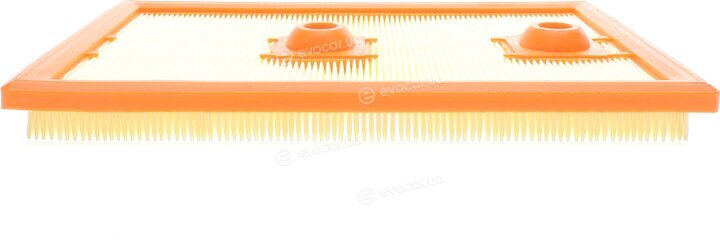 Solgy 103134