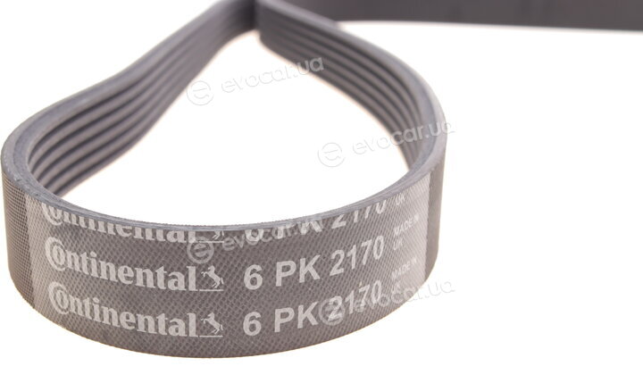 Continental 6PK2170