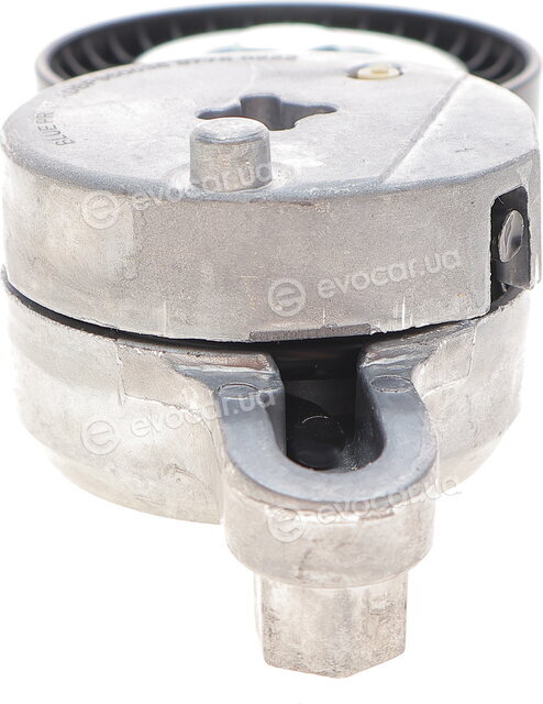 Blue Print ADBP960036