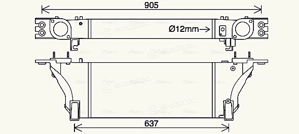 AVA DN4455