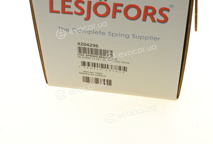 Lesjofors 4204296