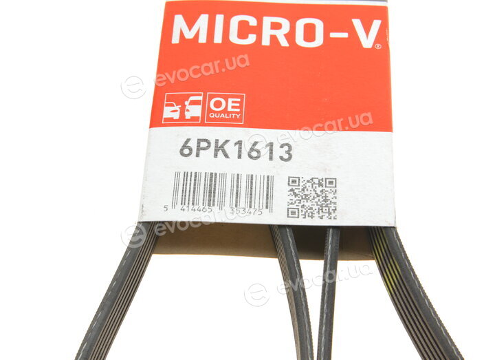 Gates 6PK1613