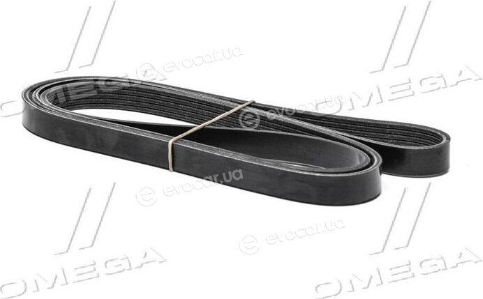 Dayco 5PK1810S