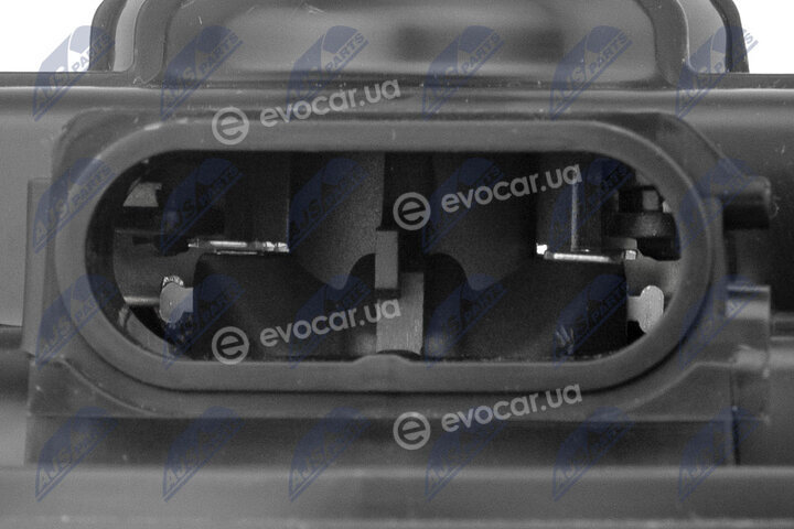 NTY EWN-CT-004