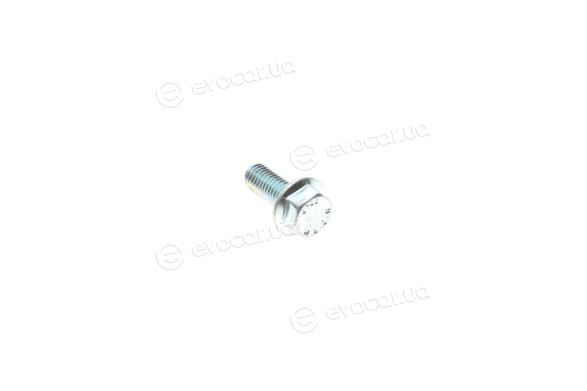 Solgy 203115