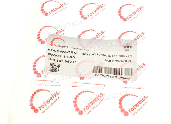 Rotweiss RWS1443