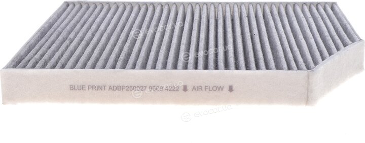 Blue Print ADBP250027
