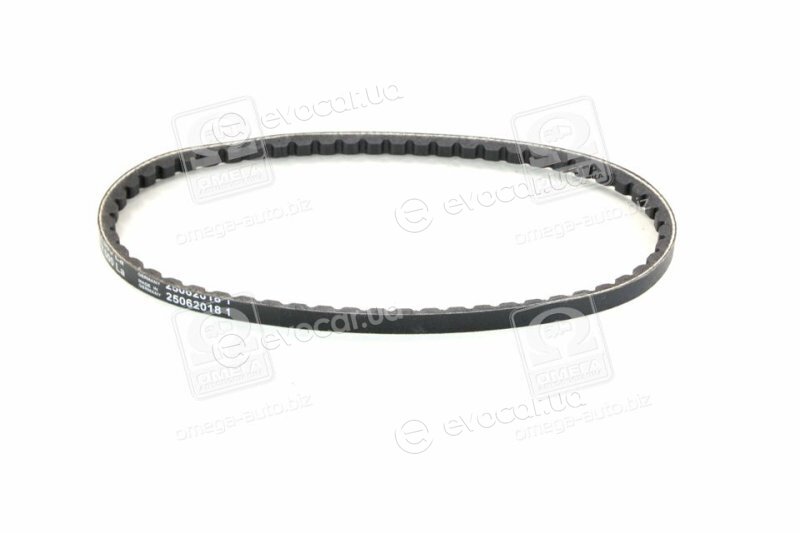 Continental AVX10X600
