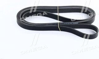 Dongil 6PK2552