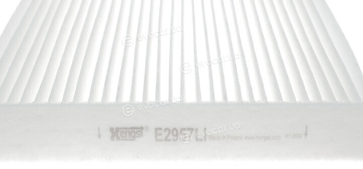 Hengst E2957LI