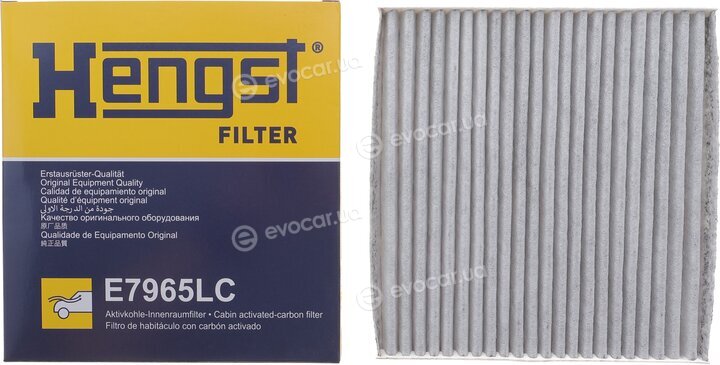 Hengst E7965LC