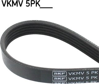 SKF VKMV 5PK1010