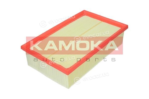 Kamoka F229901