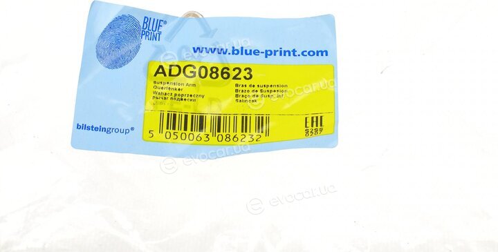 Blue Print ADG08623