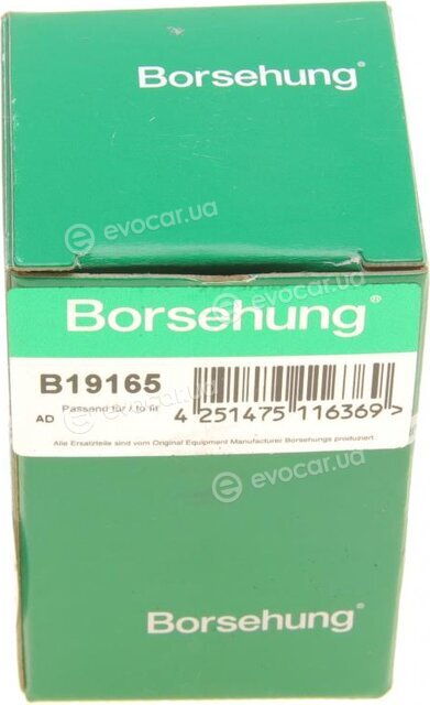 Borsehung B19165