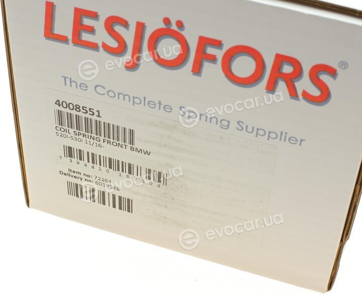 Lesjofors 4008551