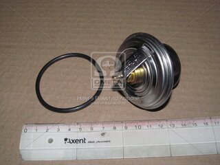 Wahler / BorgWarner 4105.79D