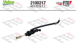 FTE 2100217