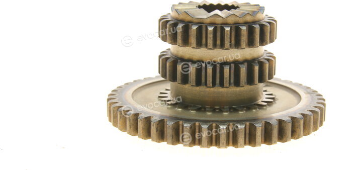 Borsehung B10220