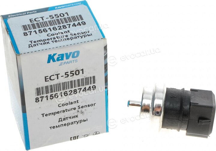 Kavo ECT-5501