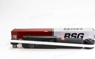 BSG BSG 70-300-012