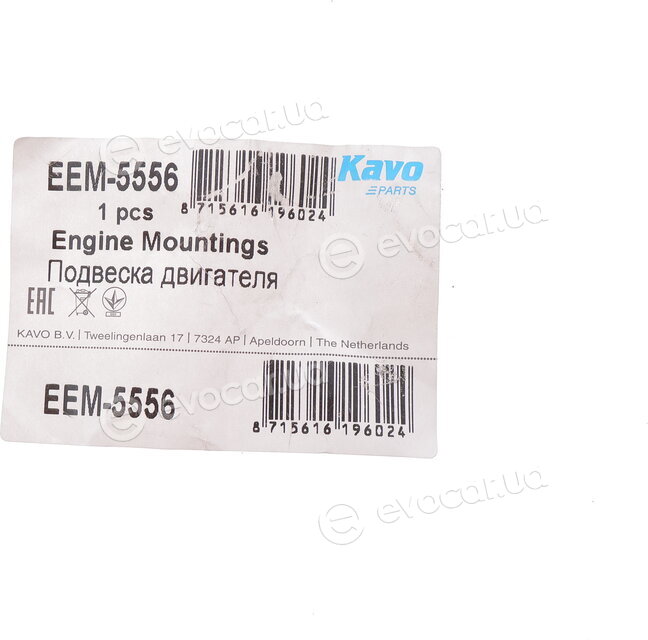 Kavo EEM-5556