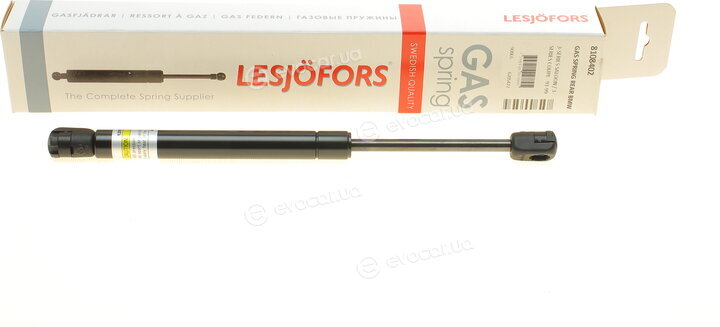 Lesjofors 8108402