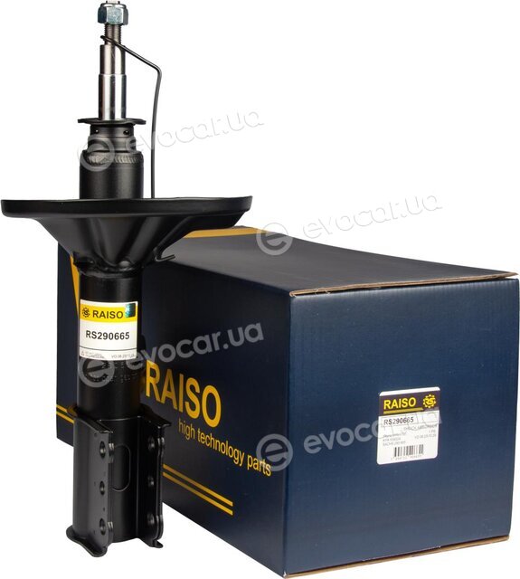 Raiso RS290665