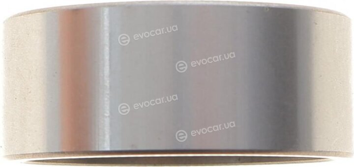 Dayco KTBWP2591