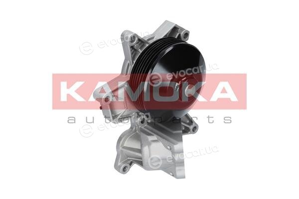 Kamoka T0048