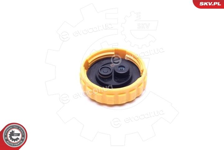 SKV 61SKV020