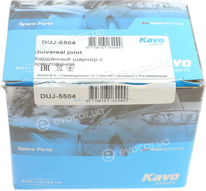 Kavo DUJ-5504