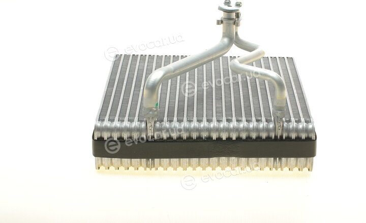 NRF 36109