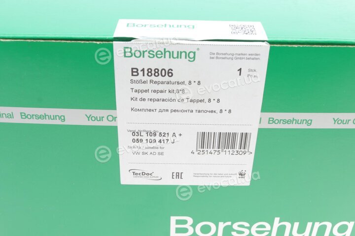 Borsehung B18806