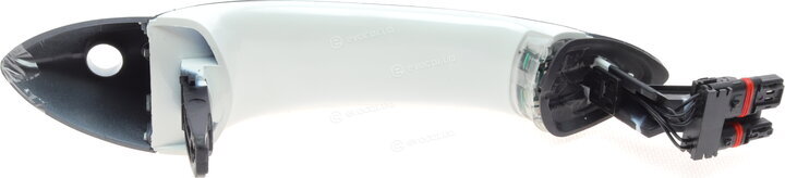 Solgy 305069