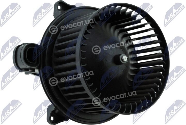 NTY EWN-FR-010