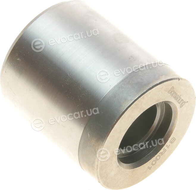 Borsehung B16300