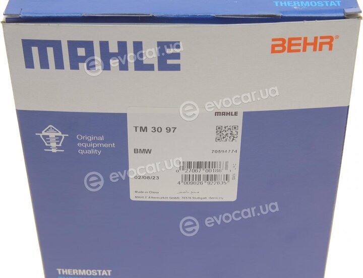 Mahle TM 30 97