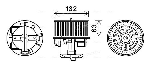 AVA VO8178